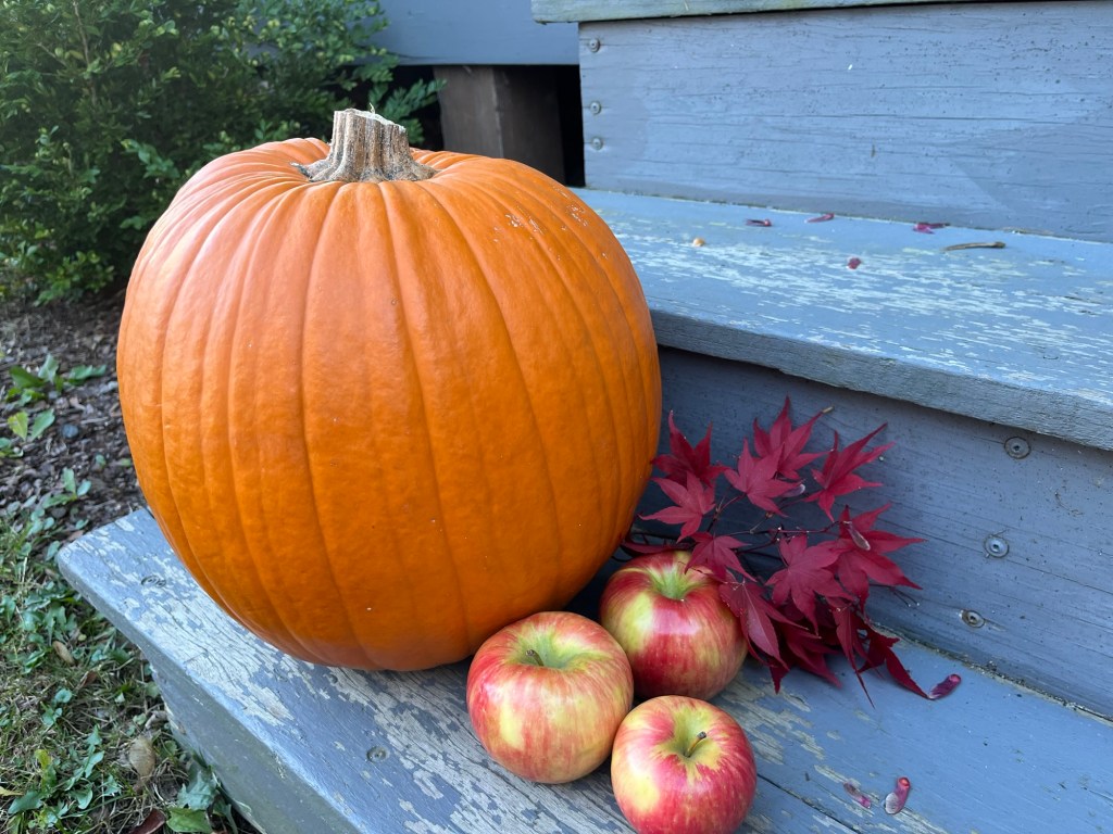Pumpkins with a Purpose: from Carving to&nbsp;Cooking