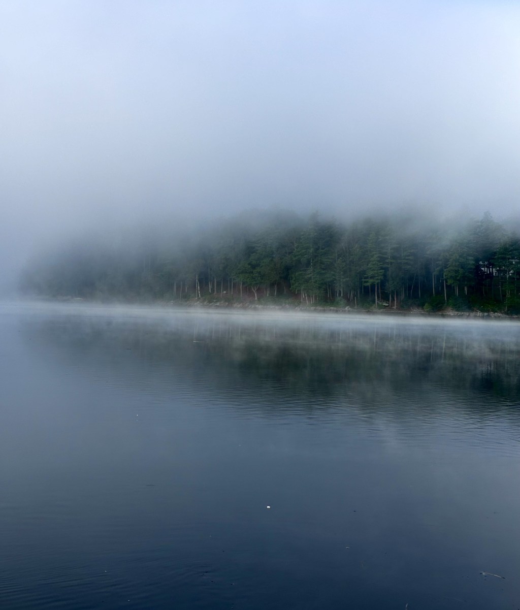 Cutting Through the Fog of&nbsp;Postpartum